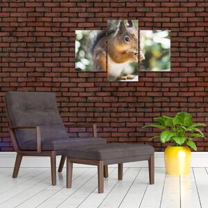 Tablou cu veverița (90x60 cm)