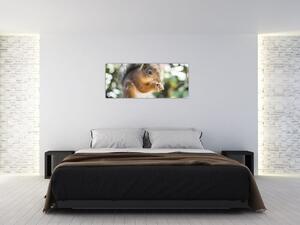 Tablou cu veverița (120x50 cm)