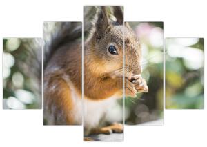 Tablou cu veverița (150x105 cm)