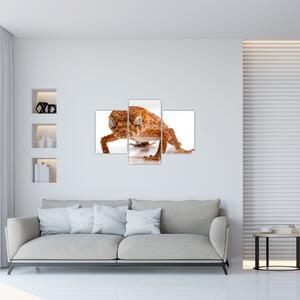 Tablou cu șopârlă (90x60 cm)