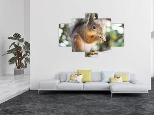 Tablou cu veverița (150x105 cm)