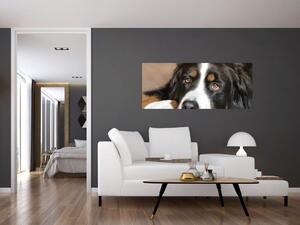 Tablou cu câine (120x50 cm)
