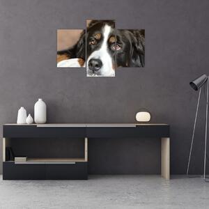 Tablou cu câine (90x60 cm)