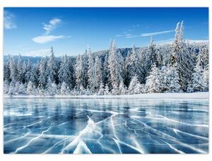 Tablou cu lacul înghețat și copacii înzăpeziți (70x50 cm)