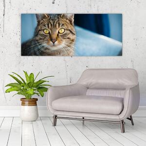 Tablou - Pisica domestică (120x50 cm)