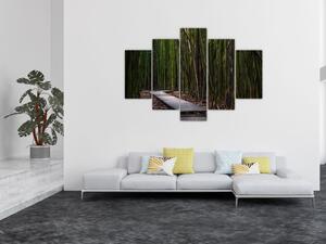 Tablou - Între bambus (150x105 cm)