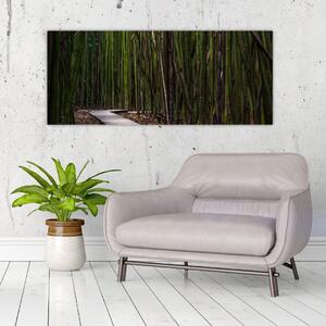 Tablou - Între bambus (120x50 cm)
