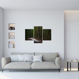 Tablou - Între bambus (90x60 cm)