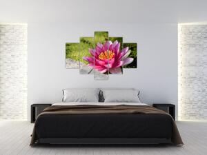 Tablou - Lotus (150x105 cm)