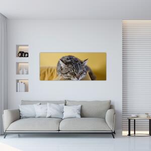 Tablou cu pisica pe fotoliu (120x50 cm)