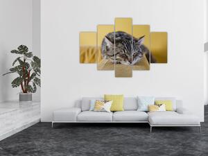 Tablou cu pisica pe fotoliu (150x105 cm)