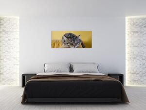Tablou cu pisica pe fotoliu (120x50 cm)