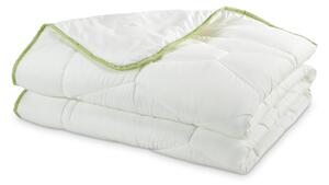 Pilota Aloe Vera Jc5