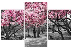 Tablou copacului magnolie (90x60 cm)