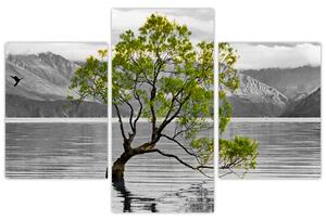 Tablou copacului în mijlocul lacului (90x60 cm)