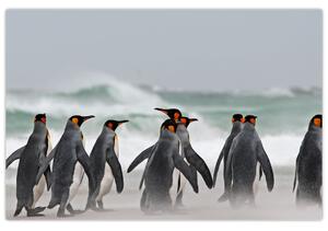 Tablou pinguini în ocean (90x60 cm)