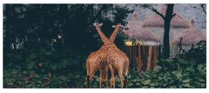 Tablou cu două girafe (120x50 cm)