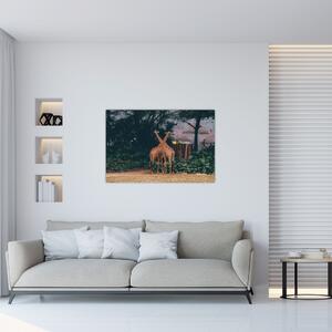 Tablou cu două girafe (90x60 cm)