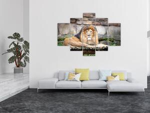 Tablou cu leu (150x105 cm)