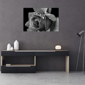 Tablou cu trandafir - albneagră (90x60 cm)