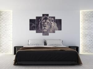 Tablou cu leu (150x105 cm)