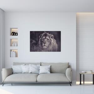 Tablou cu leu (90x60 cm)