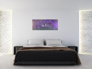 Tablou - fluture în lavandă (120x50 cm)