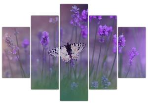 Tablou - fluture în lavandă (150x105 cm)