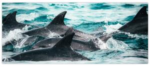 Tablou - Delfini în ocean (120x50 cm)