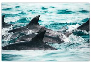 Tablou - Delfini în ocean (90x60 cm)