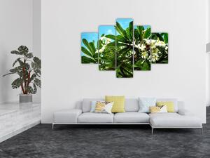 Tablou - Plumeria (150x105 cm)