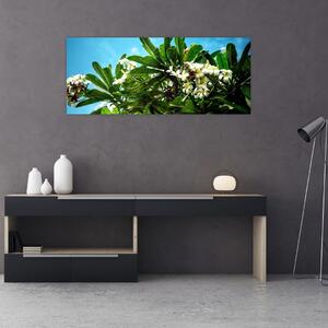 Tablou - Plumeria (120x50 cm)
