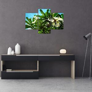 Tablou - Plumeria (90x60 cm)