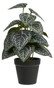 Plantă artificială Anavania 2 (verde). 1147615