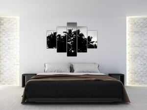 Tablou alb negru - palmieri (150x105 cm)