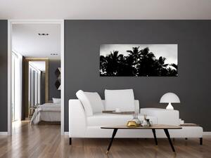 Tablou alb negru - palmieri (120x50 cm)