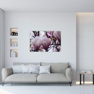 Tablou - Magnolie (90x60 cm)