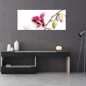Tablou cu floarea de orhidee (120x50 cm)