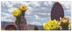 Tablou cu floarea de cactus Opunție (120x50 cm)