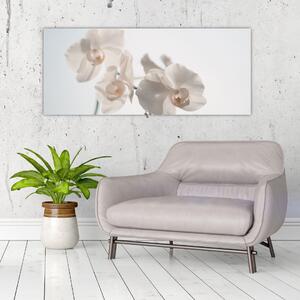Tablou cu orhidee albă (120x50 cm)