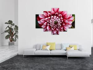 Tablou cu dalie roz (150x105 cm)