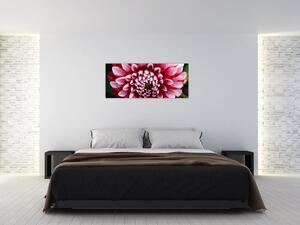 Tablou cu dalie roz (120x50 cm)