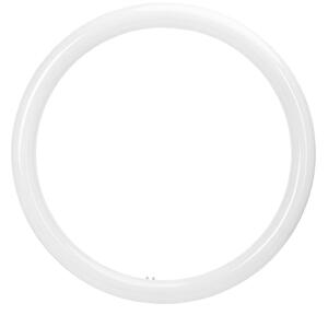 Tub LED fluorescent G10q/20W/230V 3000K - Aigostar