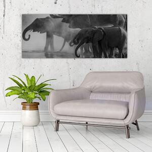 Tablou cu elefanți - albnegru (120x50 cm)