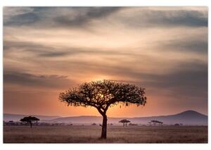 Tablou apusului de soare în Tanzania (90x60 cm)