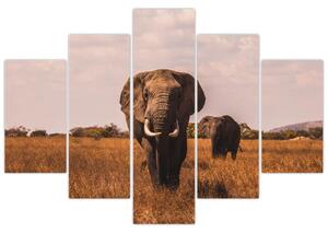 Tablou - Venirea elefantului (150x105 cm)