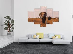 Tablou - Venirea elefantului (150x105 cm)