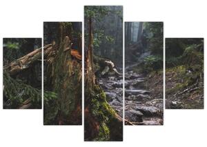 Tablou - În pădure (150x105 cm)