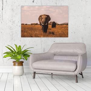 Tablou - Venirea elefantului (90x60 cm)