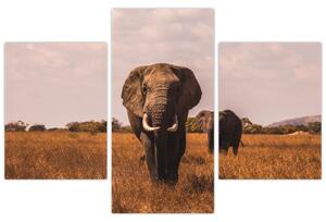 Tablou - Venirea elefantului (90x60 cm)